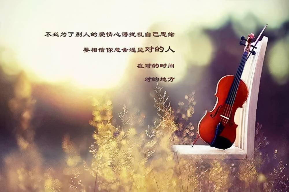 情归故里在线观看,情归故里,重拾那些被时光遗忘的温暖 情归故里在线观看,情归故里,重拾那些被时光遗忘的温暖
