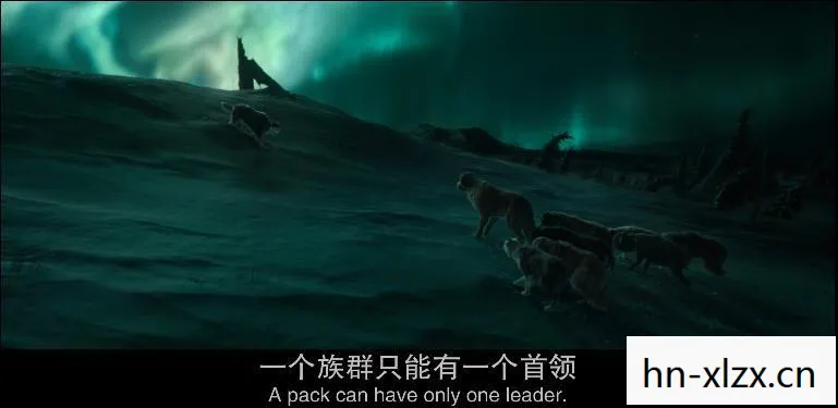 荒野的召唤,探索自然与内心的野性 荒野的召唤,探索自然与内心的野性
