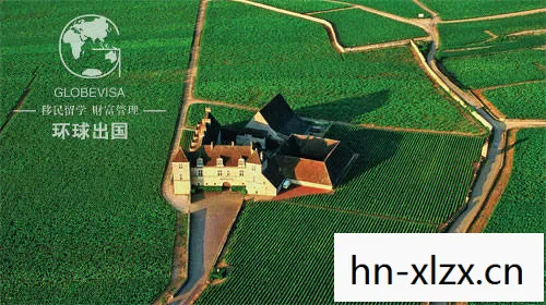 模拟农场,数字时代的农业新体验 模拟农场,数字时代的农业新体验