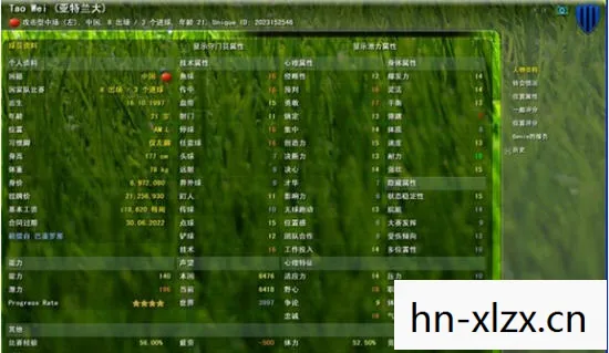 足球经理2010攻略,打造无敌球队,称霸绿茵场 足球经理2010攻略,打造无敌球队,称霸绿茵场