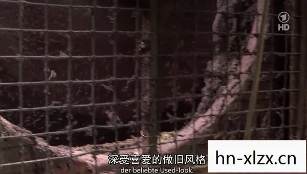 迷雾笼罩的小镇与不为人知的秘密图片
