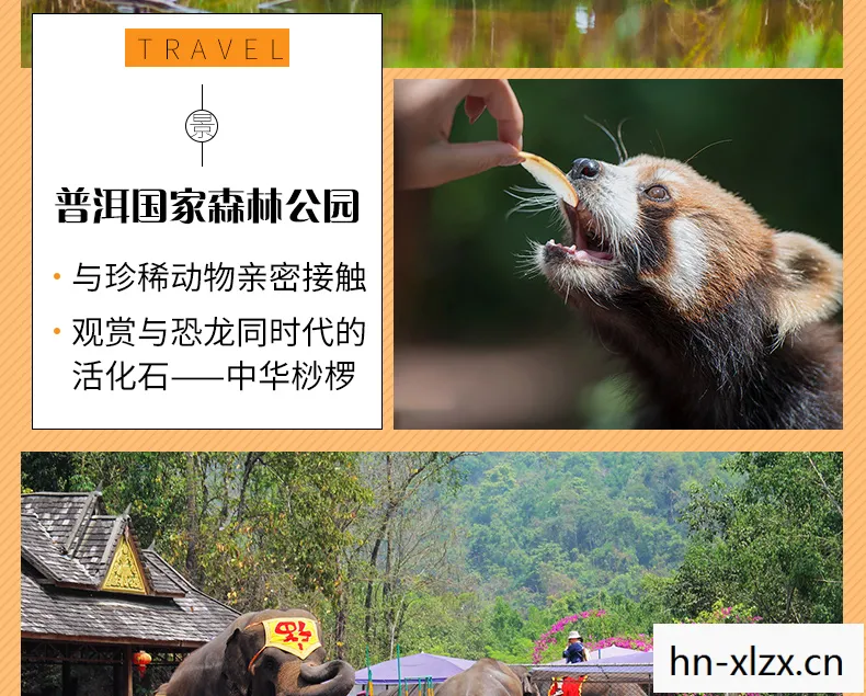 一场关于自然与探索的奇妙旅程图片