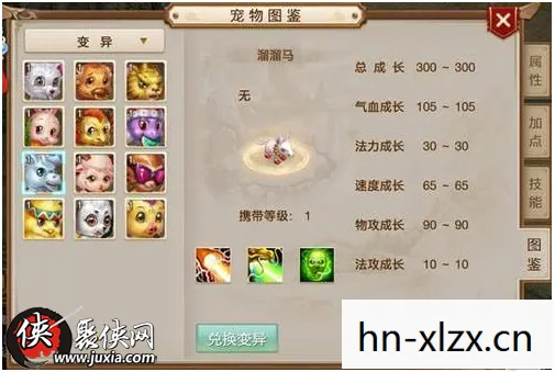 问道宠物顿悟技能怎么升级图片