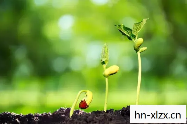 无知的小草,生命的坚韧与启示 无知的小草,生命的坚韧与启示