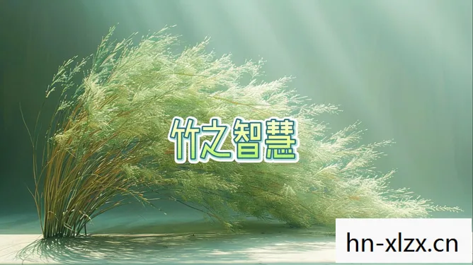 无知的小草,生命的坚韧与启示 无知的小草,生命的坚韧与启示