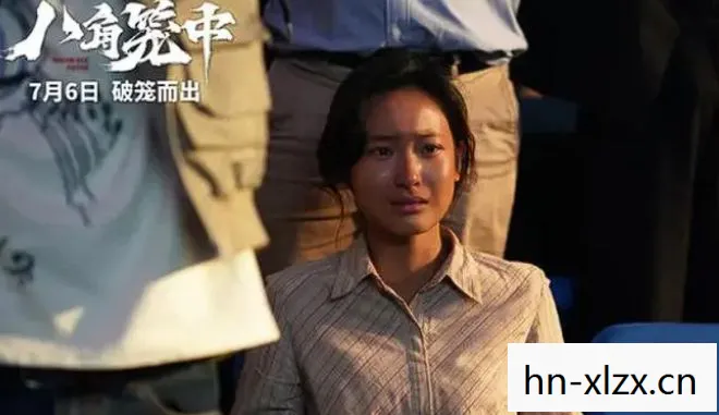 八角笼中，王宝强女儿的成长启示录