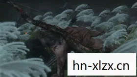 忍者之祖的传奇人生图片