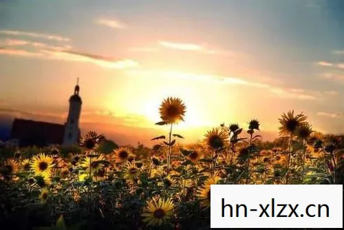 秋之回忆3从今以后图片