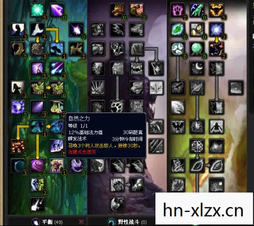 德鲁伊天赋，自然之力的奥秘