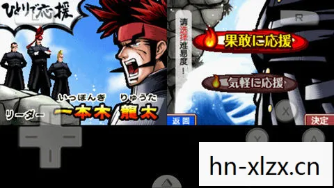 重温经典，NDS中文游戏回顾