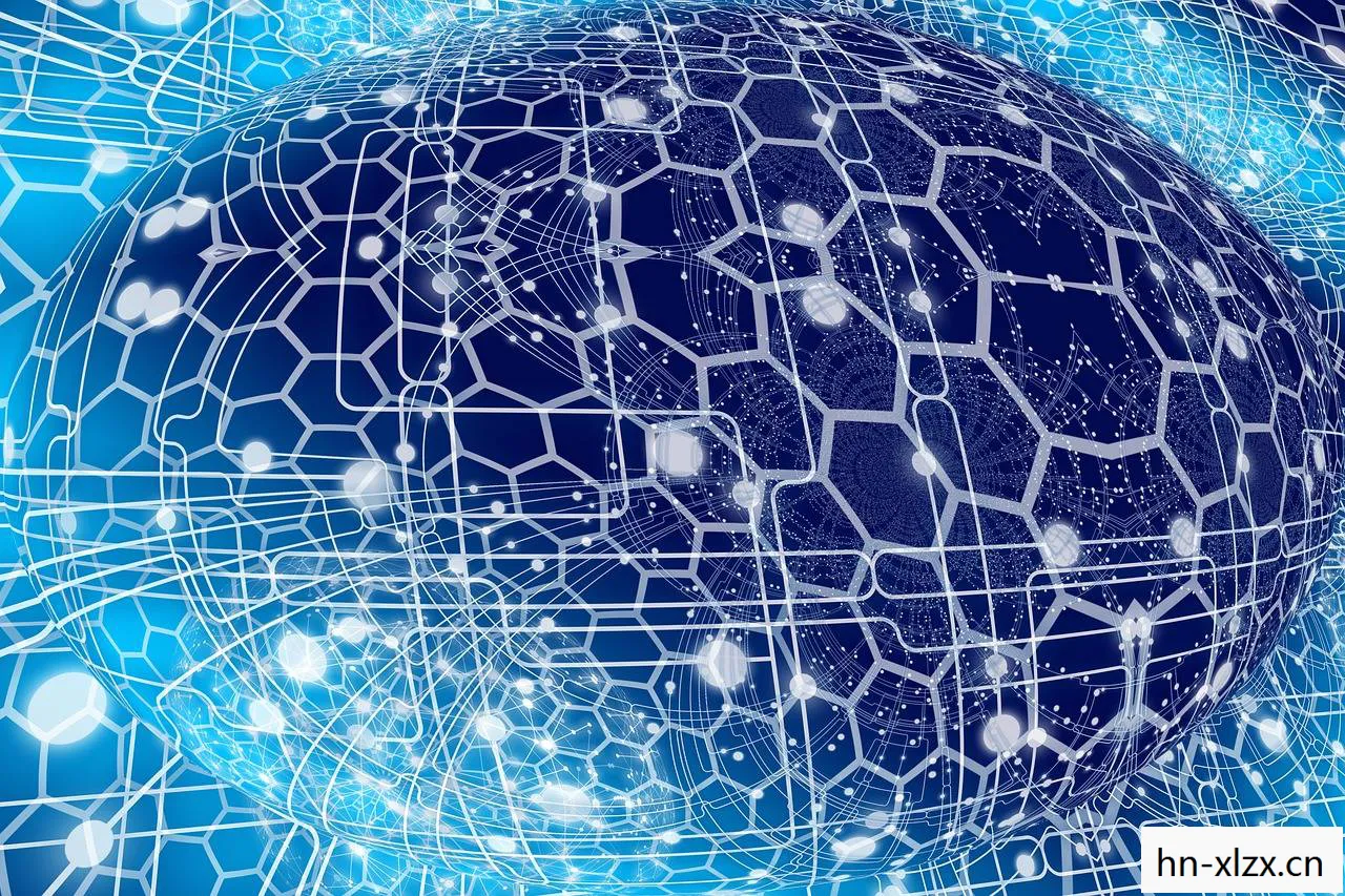 完美弧线,从艺术到科学的探索 完美弧线,从艺术到科学的探索