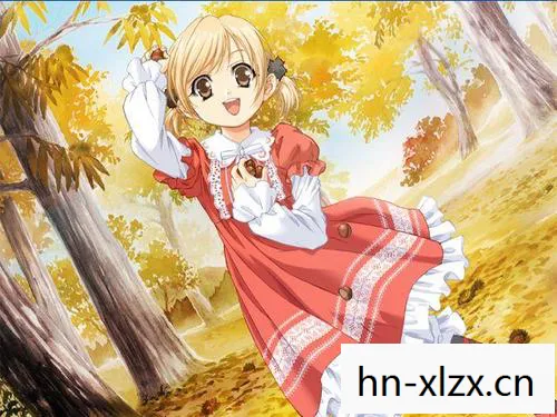 美少女梦工厂4 攻略图片