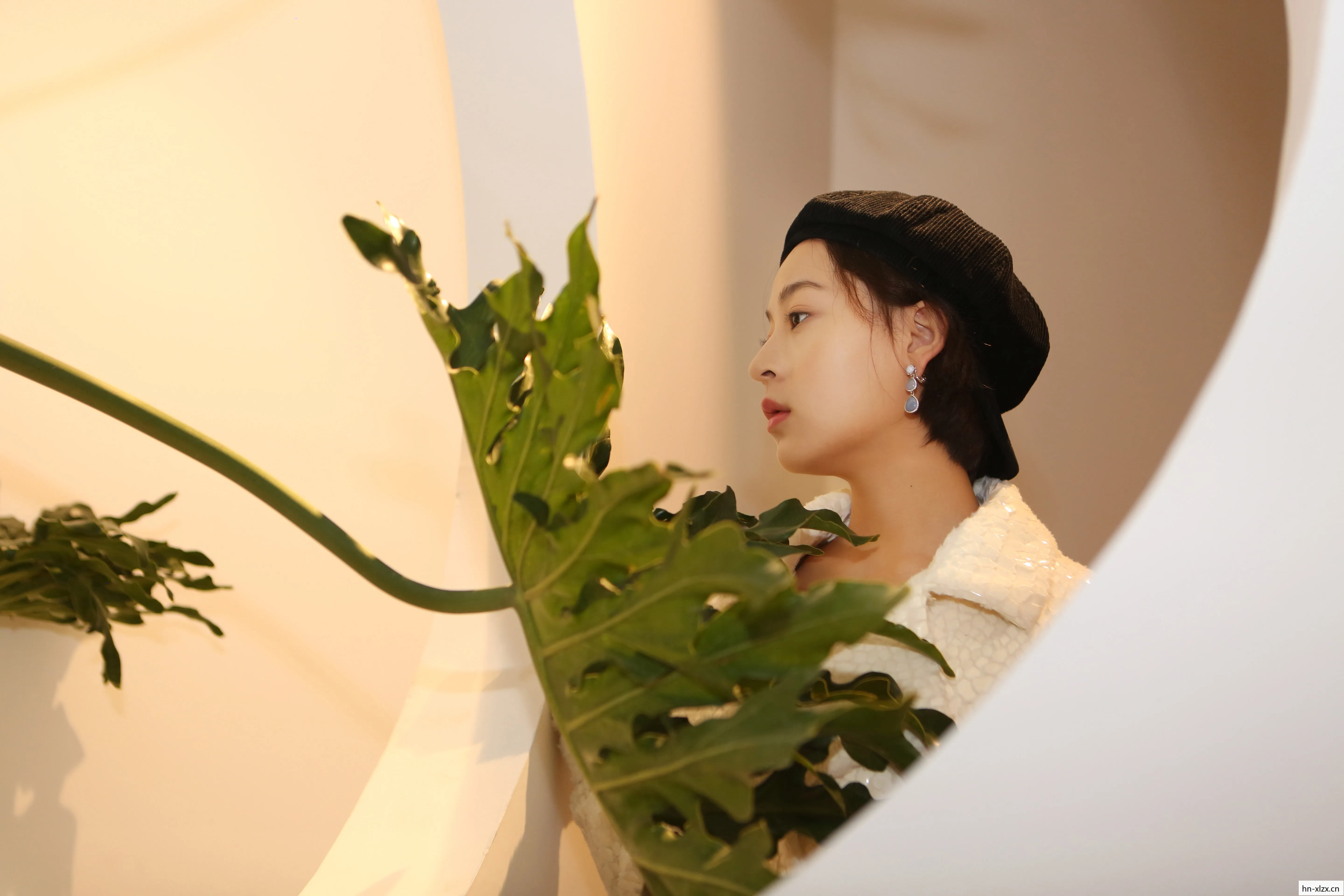 芹疗影,光影交织中的生活艺术 芹疗影,光影交织中的生活艺术