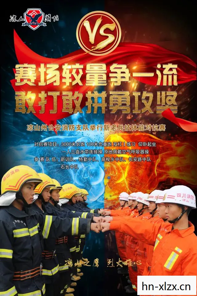 龙虎斗,一场智慧与勇气的较量 龙虎斗,一场智慧与勇气的较量