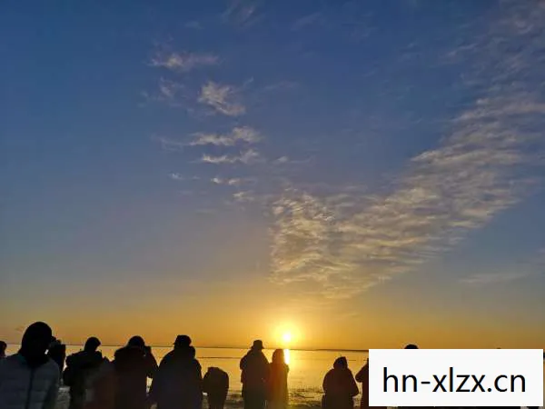 双人成行,携手共进的奇妙旅程 双人成行,携手共进的奇妙旅程