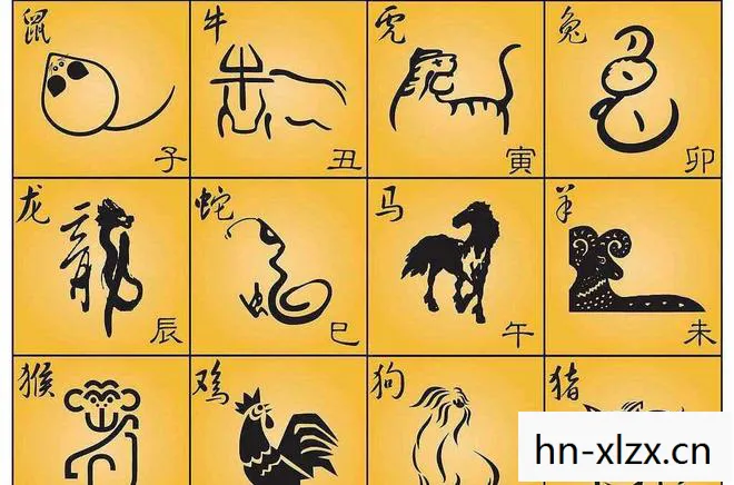 47年属什么生肖 今年多大了，47岁，重新定义自我，迎接人生的新篇章