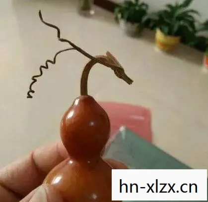 红葫芦，生命的隐喻与成长的启示