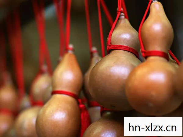 红葫芦，生命的隐喻与成长的启示