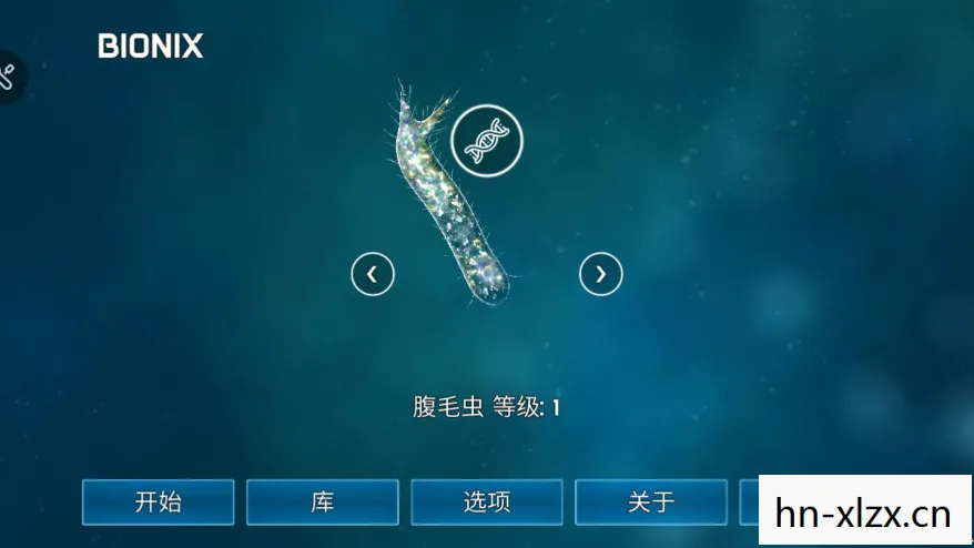 孢子中文版下载免费，孢子中文版，探索生命的起源与进化