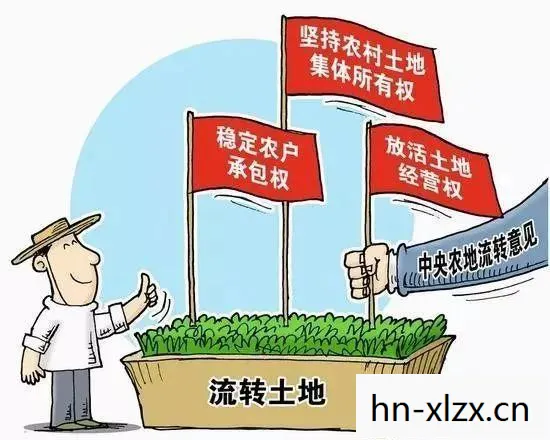 经营农场是按什么分配，经营农场，从土地到餐桌的全方位指南