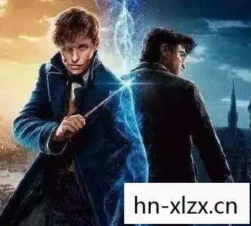 霍格沃兹之遗学院选择，霍格沃兹之遗，探索魔法世界的未解之谜