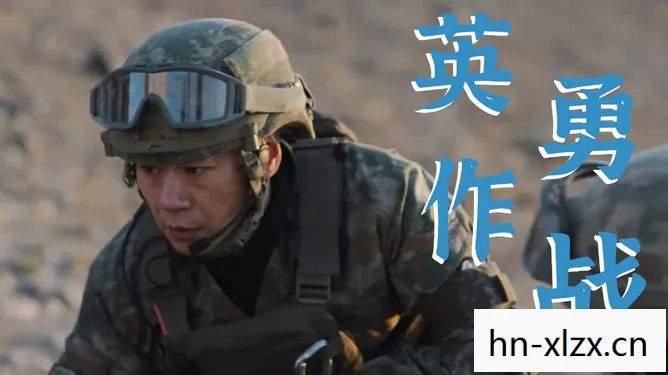 反恐行动官网，反恐行动，守护和平的隐形盾牌