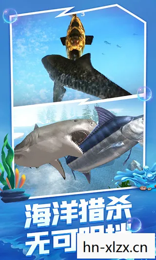 海底大猎杀正版下载，海底大猎杀，揭秘深海未知生物的神秘世界