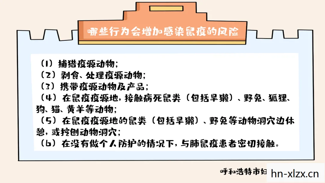 鼠疫2026，鼠疫2，历史、现状与防控
