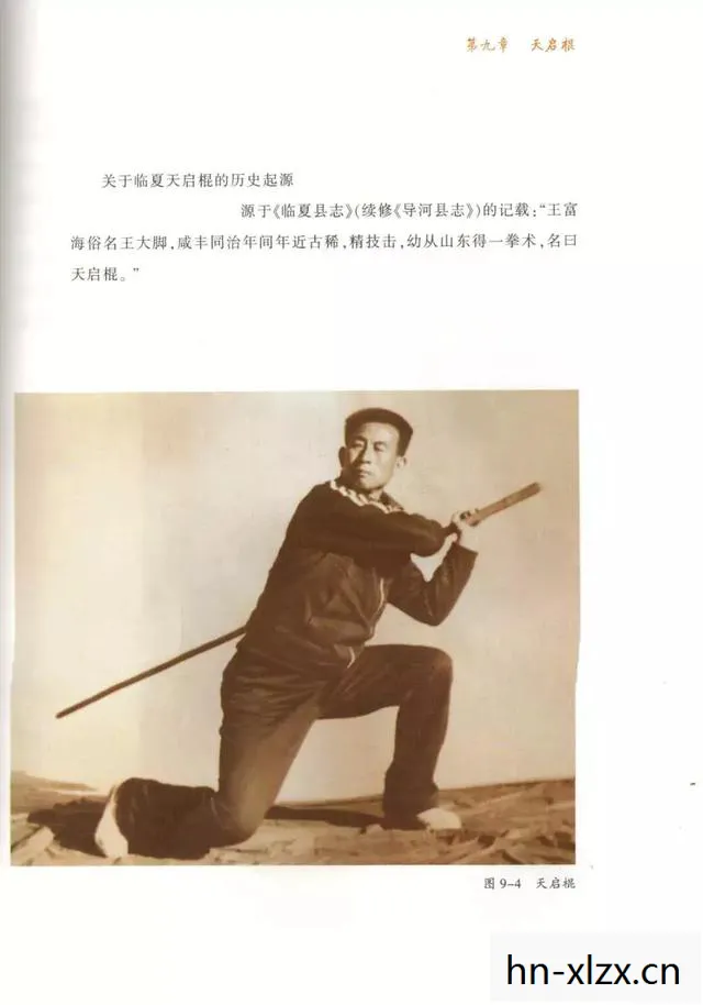 烙铁棍盗贼,烙铁棍,一段历史的见证与传承 烙铁棍盗贼,烙铁棍,一段历史的见证与传承