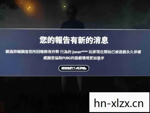 至尊开挂下载地址，揭秘游戏外挂背后的灰色产业链，从诱惑到毁灭的旅程