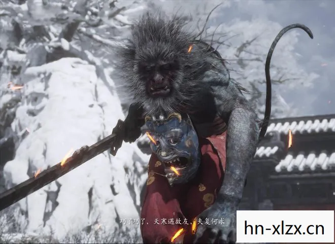 定风猴真实图片,定风猴,神话与现实的交织 定风猴真实图片,定风猴,神话与现实的交织