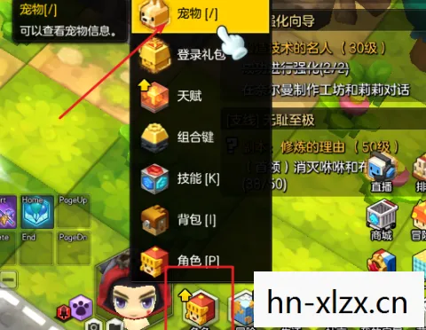 冒险岛2昆虫型怪物哪里多，冒险岛2，昆虫型怪物的神秘世界