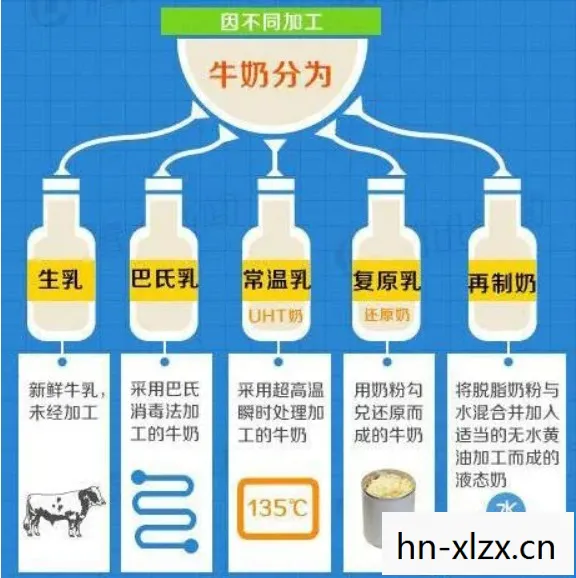 牛乳战车第一季，牛乳战车，探索牛奶背后的科技与创新