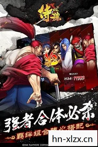 霸王丸绝招叫什么，霸王丸绝招，传承与创新的武术艺术