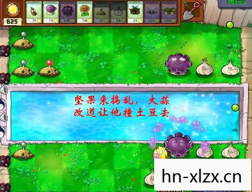 植物大战僵尸怎么玩的视频，植物大战僵尸，策略与技巧的全面指南