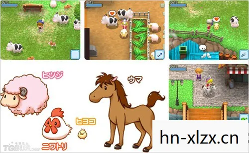 重拾田园生活的温馨与美好图片