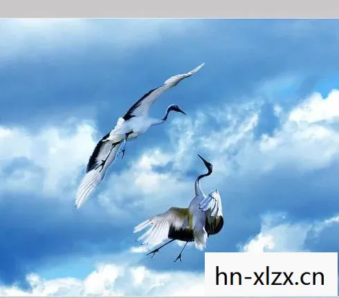 闲云野鹤什么意思,闲云,悠然自得,自在人生 闲云野鹤什么意思,闲云,悠然自得,自在人生
