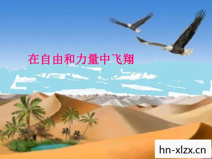 草上飞打一字是什么字,草上飞,一场关于速度与自由的浪漫冒险 草上飞打一字是什么字,草上飞,一场关于速度与自由的浪漫冒险