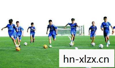 足球经理人2026，足球经理人，梦想与现实的交织