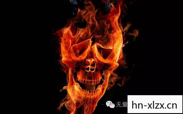 火焰蛇图片，火焰蛇，神秘而迷人的生物