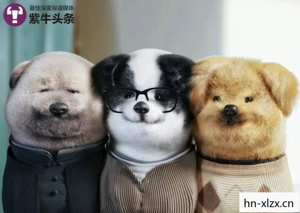 余华壁纸,余华微信头像引热议,小狗形象背后的深意 余华壁纸,余华微信头像引热议,小狗形象背后的深意