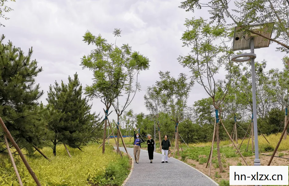玫瑰公园在哪里，玫瑰公园，城市中的绿洲与浪漫之地