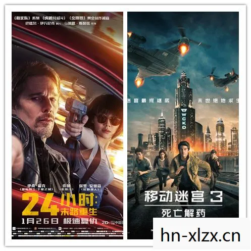 浩劫中的希望与重生图片