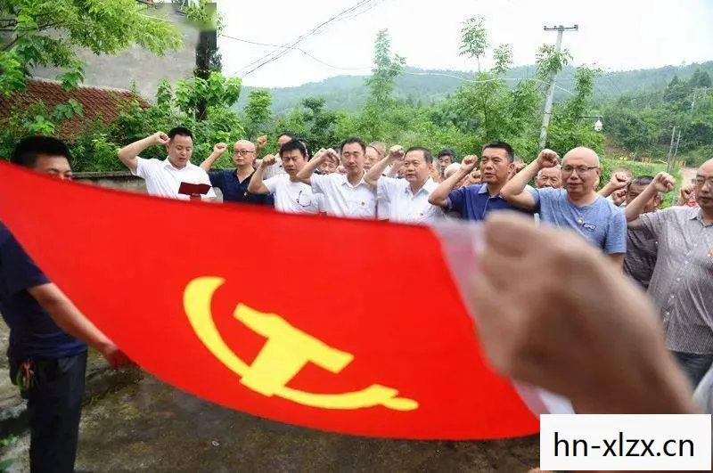 宣誓举手正确姿势图片，宣誓，承诺与责任的庄严时刻