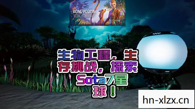 失落星球马拉松，失落星球，探索未知与寻找希望的旅程