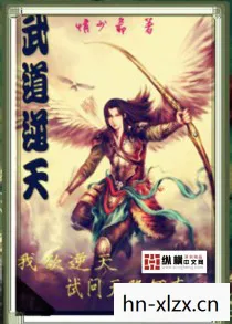 武道无极小说，武道无极，探索武术的奥秘与境界