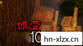 丛林之狐攻略视频，丛林之狐，探索未知世界的生存指南
