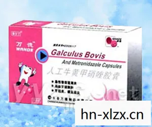人2牛黄甲硝唑胶囊的作用，探索元宇宙，虚拟世界的无限可能与挑战