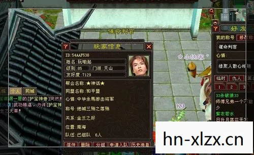 天龙八部发布网，那些年，我在江湖的坑与路天龙私服