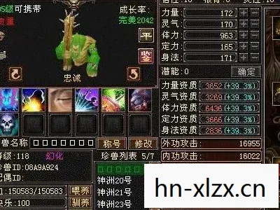 2026 年超变玩法下的神装获取与宠物养成指南天龙私服图片
